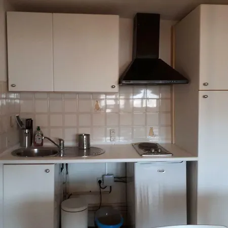 アパート 1 Bd Apt In Old Center *